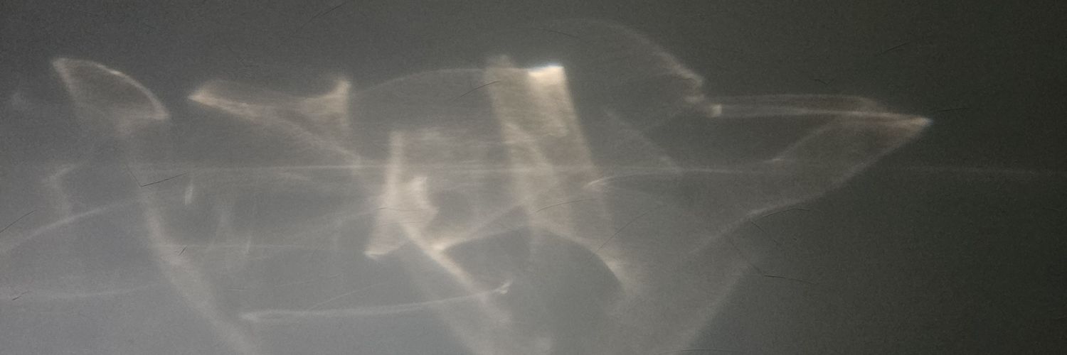 piratekinhunter's profile banner image