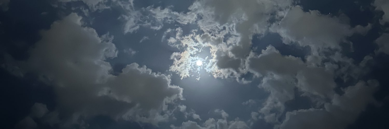 Lo0sha~ banner