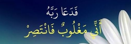 Shakeel219💕 banner