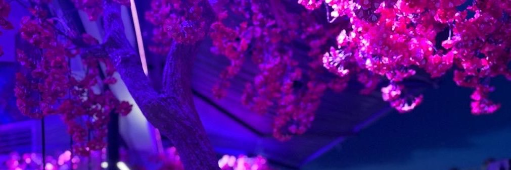saba_alz_'s profile banner image