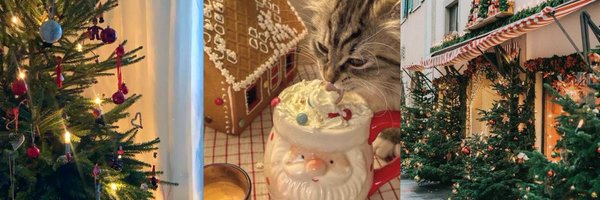 juliaunboxed Profile Banner