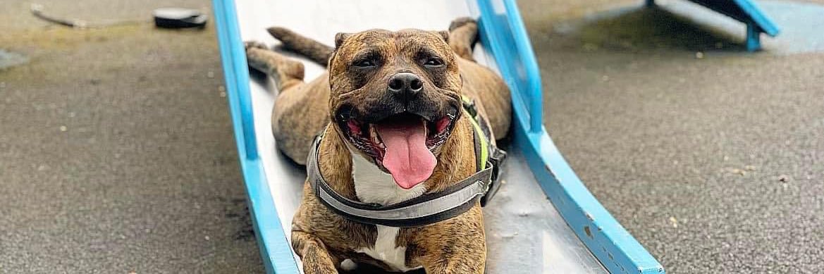 Jonathan Sutcliffe banner