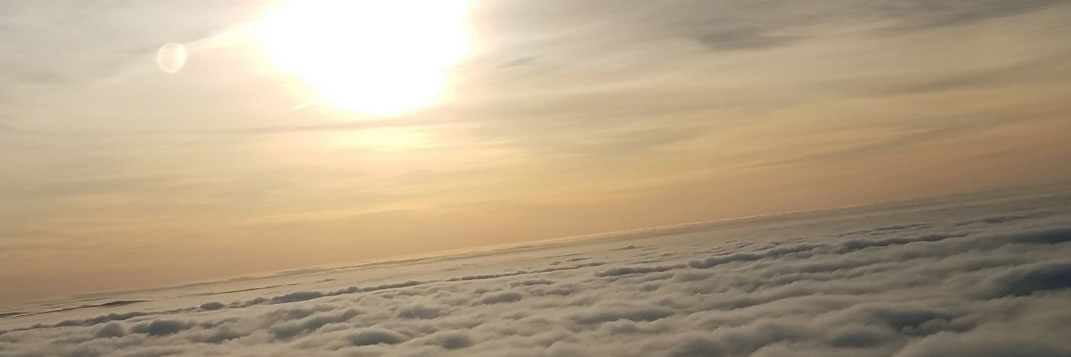 William Shepard banner