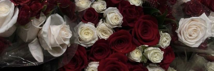 Arabella banner