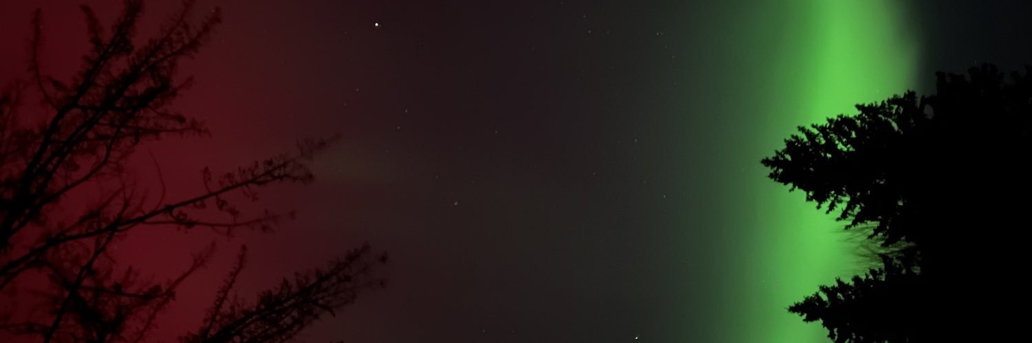 exilelicia's profile banner image