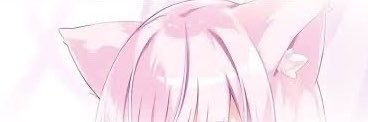Carita Carli banner