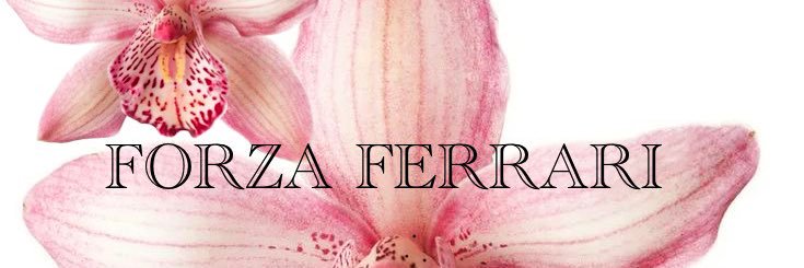 antonia of kittens banner