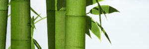 jacobs55560's profile banner image