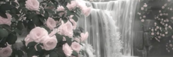 deer_anaa's profile banner image