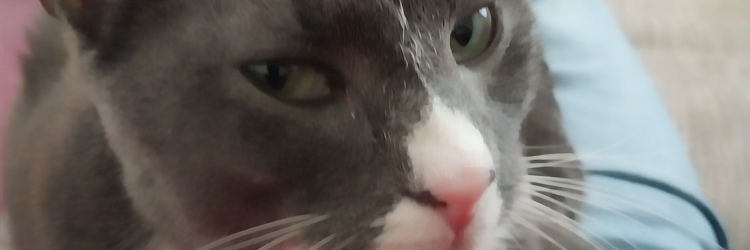 ChrisRager's profile banner image