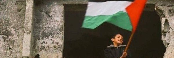 FPalestine29 Profile Banner
