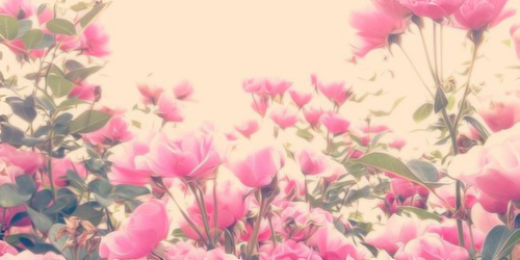haleybee14's profile banner image