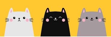 AlexaKairoo's profile banner image