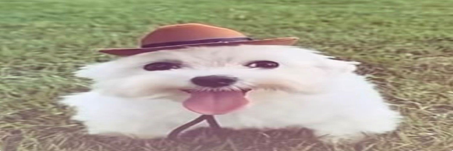 trashhottub's profile banner image