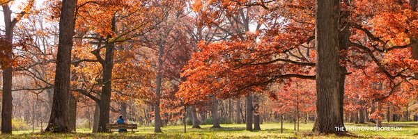 DiscoverDuPage Profile Banner