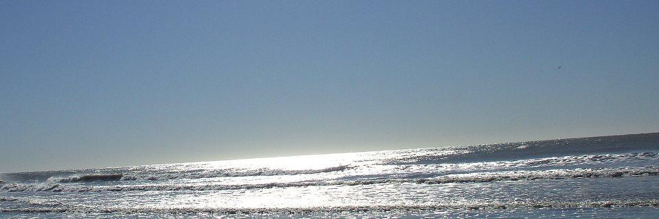 GEMARTINEZ4's profile banner image