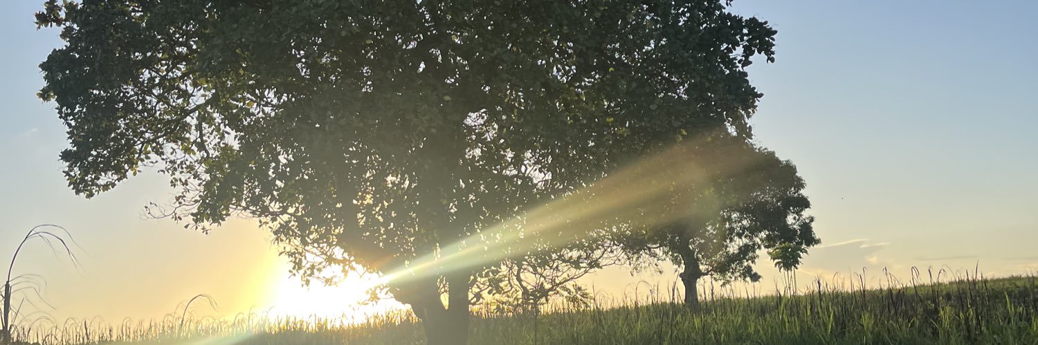 _dosanjosnt's profile banner image