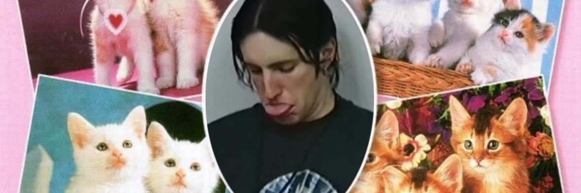 LiLLY‧₊˚⊹♡’s ninoize banner