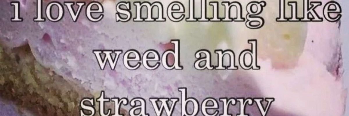 thefragiIe's profile banner image