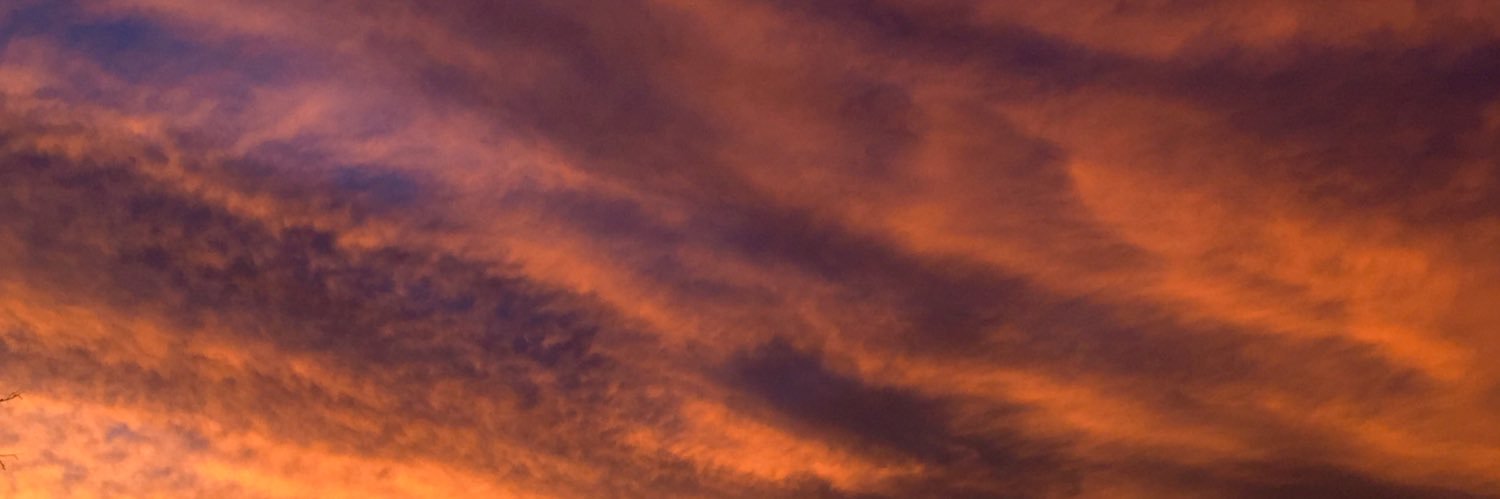 SofiMaisso's profile banner image