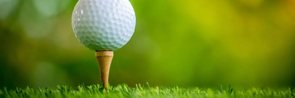 NB_Hounds_Golf's profile banner image