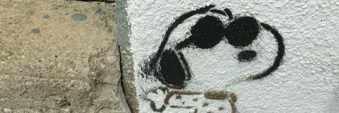 meerfou's profile banner image