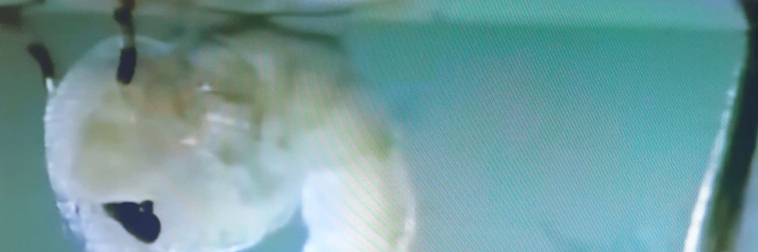 _Claudio_120's profile banner image