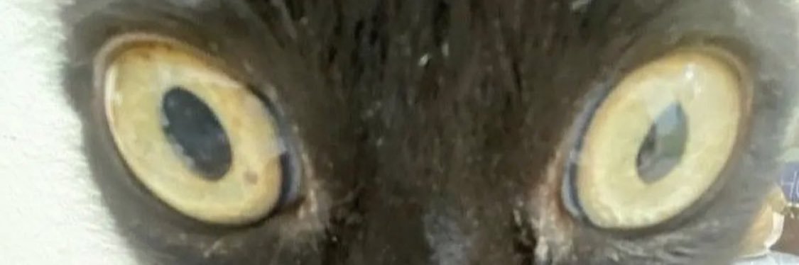 toetucker05's profile banner image