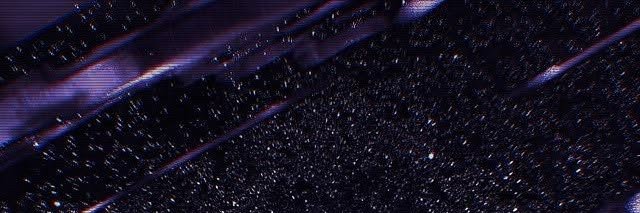cat lover banner