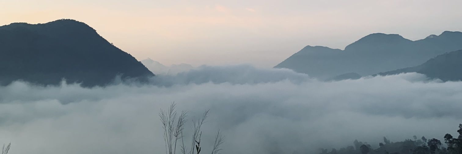 Bocah Petualang banner