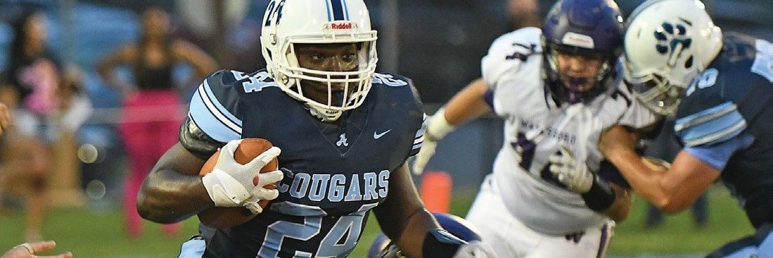 Blue Ridge HSFB banner