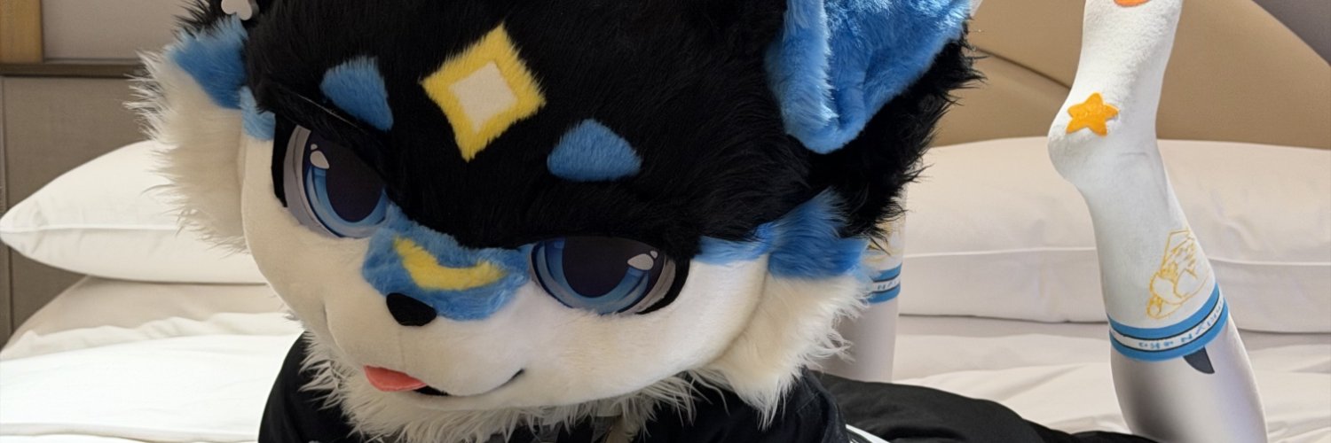 BYinxuan1493's profile banner image