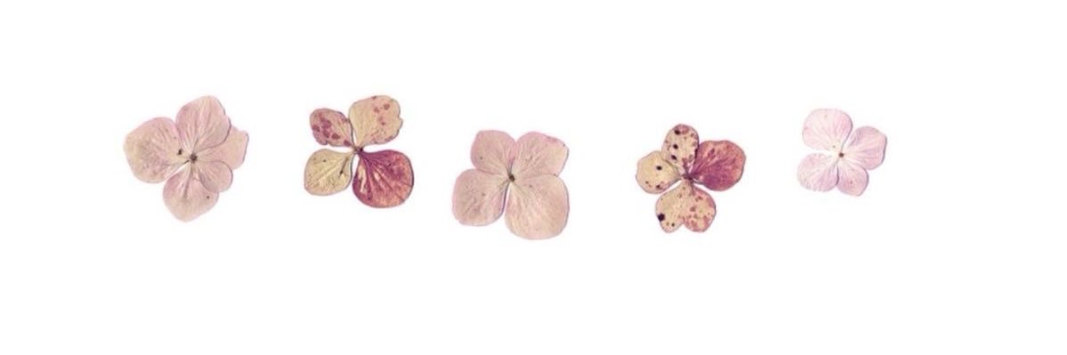 sunday banner