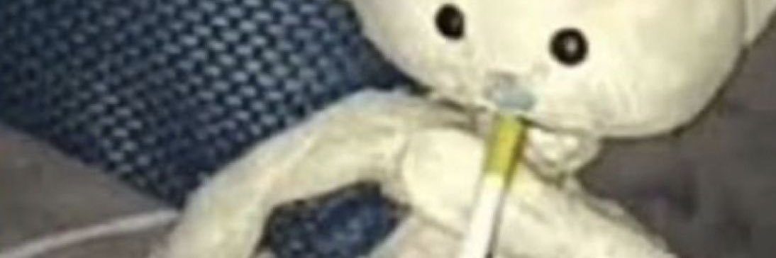 ccynk_'s profile banner image