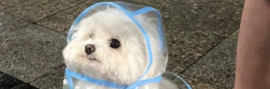 duda_uwu_'s profile banner image