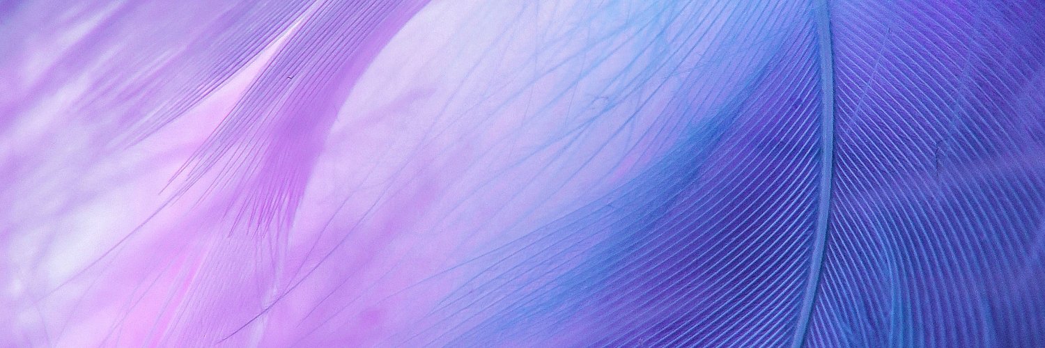 nexaquant's profile banner image
