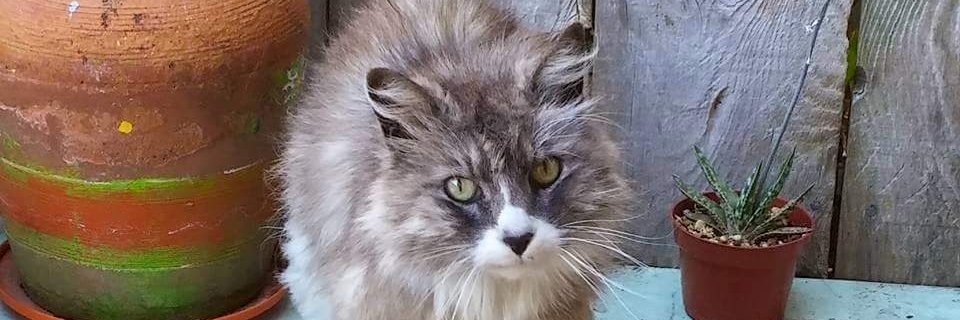 barlymor's profile banner image