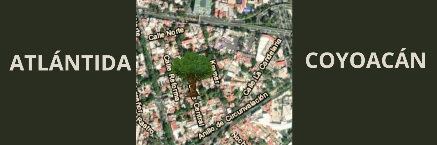 Col. Atlántida Coyoacan banner