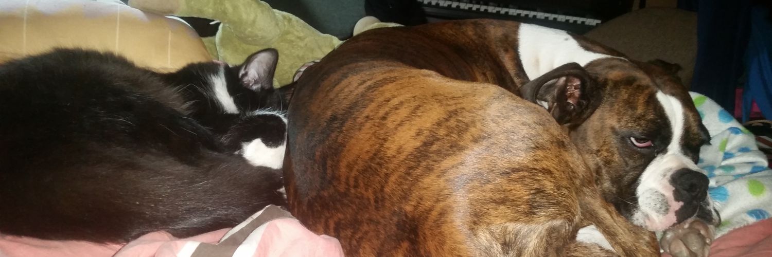virgibruno's profile banner image
