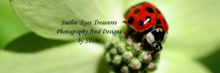 SmilinEyesPhoto's profile banner image