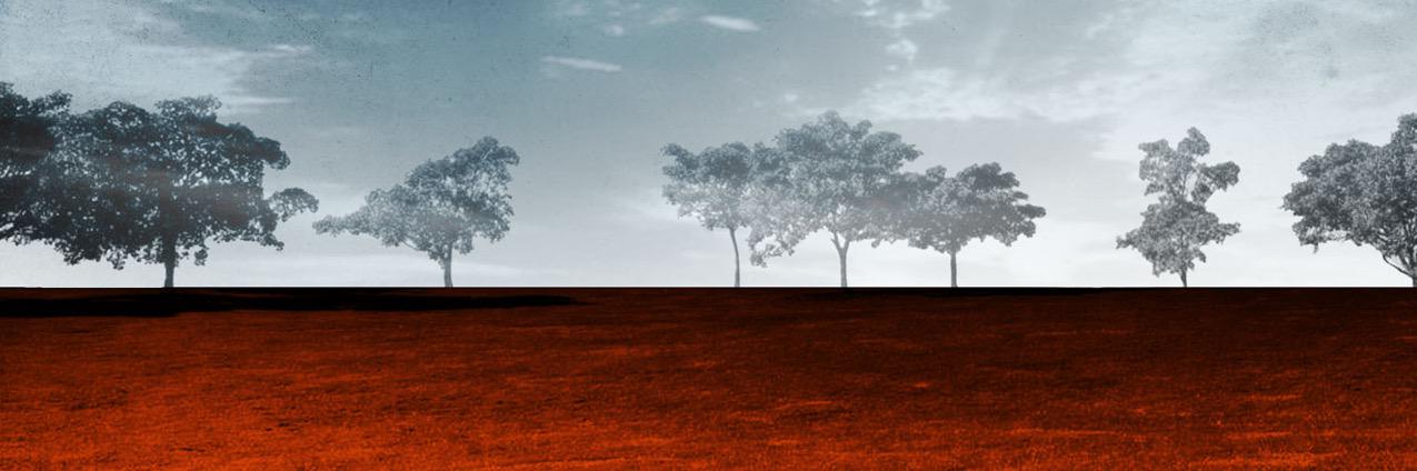 pkirkpatrick's profile banner image