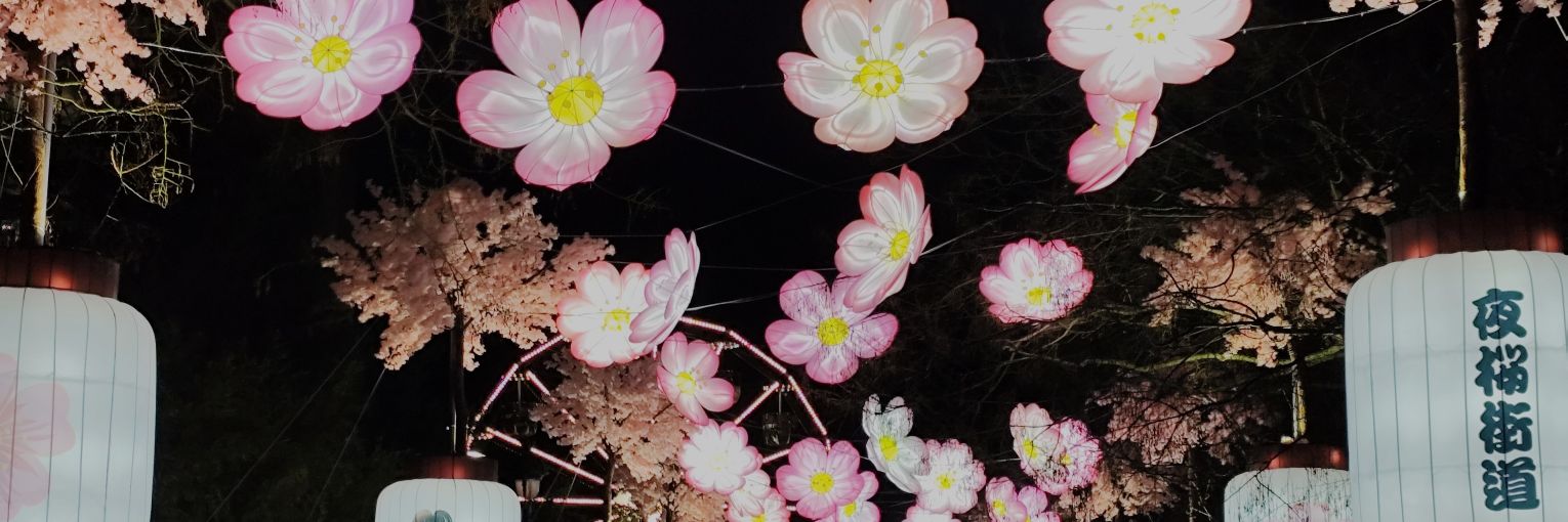 𝑚𝑖𝑚𝑖 𝑓𝑟𝑜𝑚𝑎𝑔𝑒 𝑓𝑟𝑎𝑖𝑠 banner