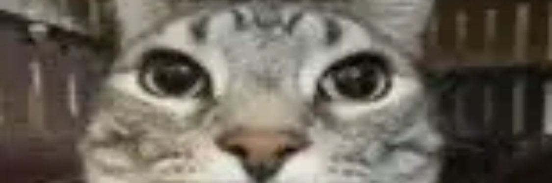 HyperViper78's profile banner image