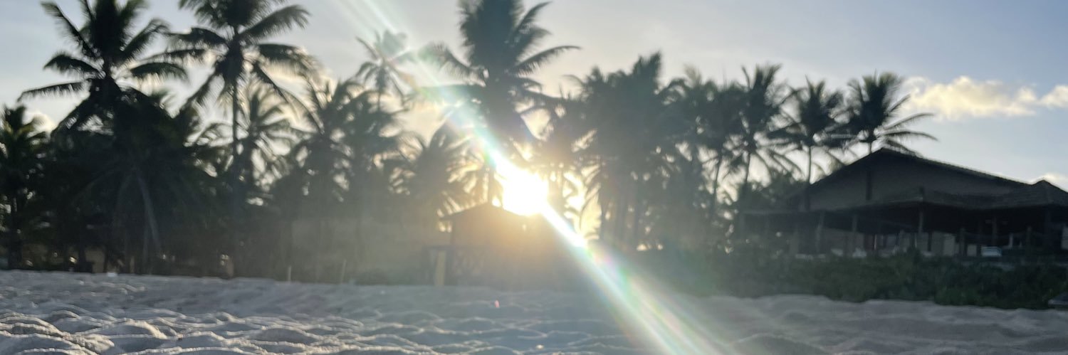 pibonacina's profile banner image