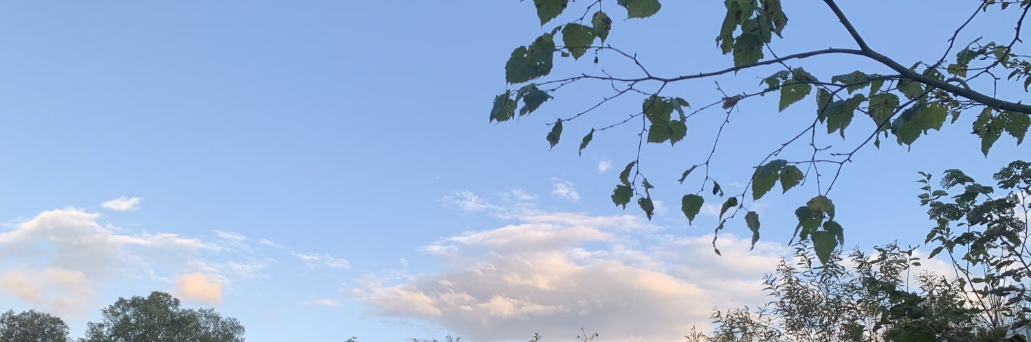 manzo_oz's profile banner image