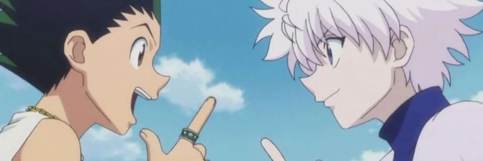 Iris banner
