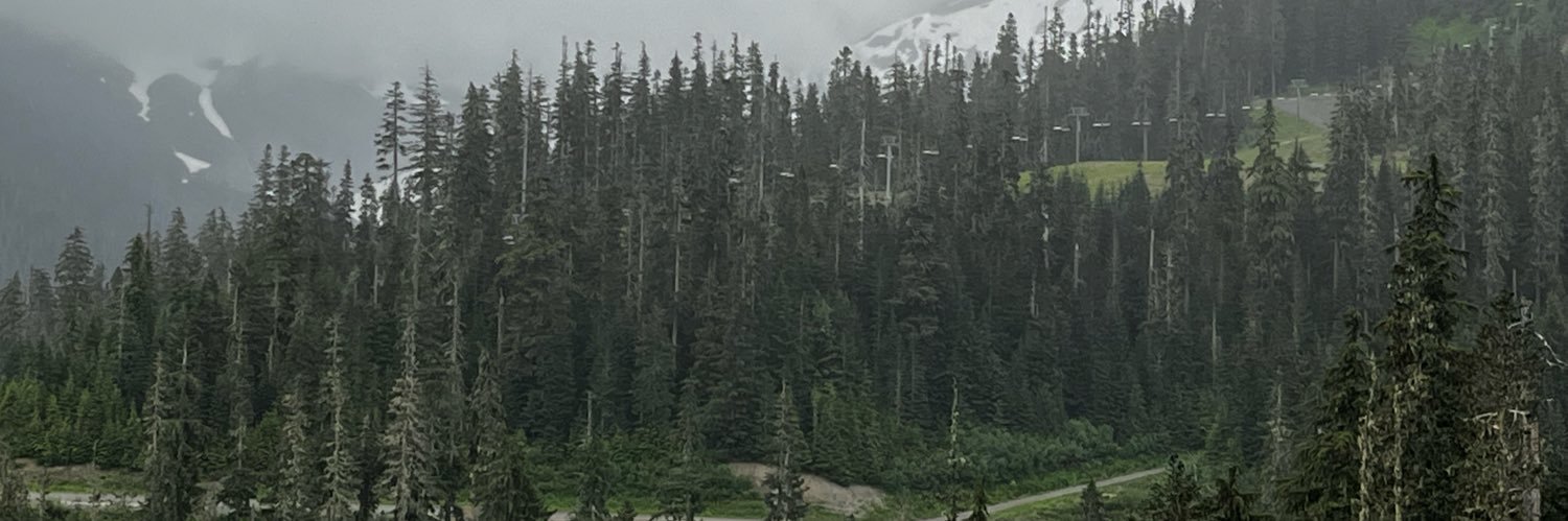 silentandfun's profile banner image