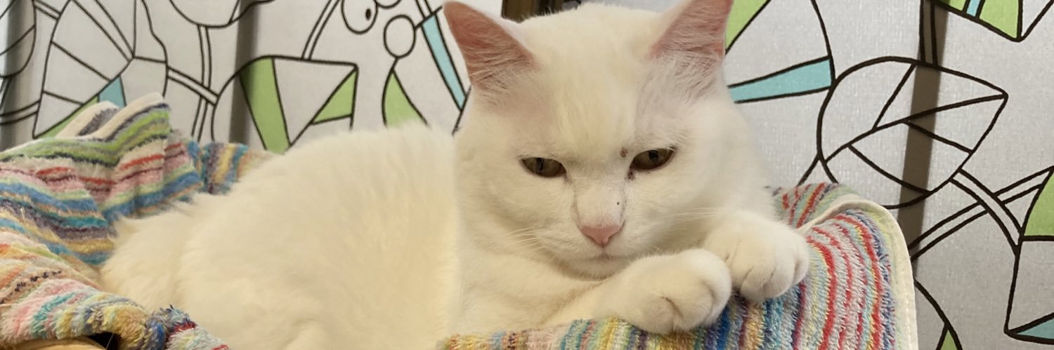 じゃむぽん banner