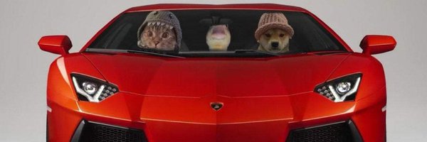 EnduroBoy1998 Profile Banner