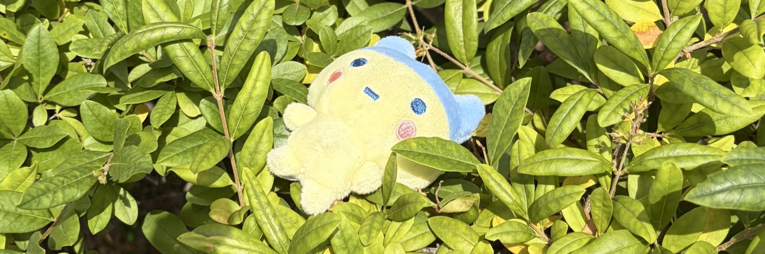 jam25866's profile banner image